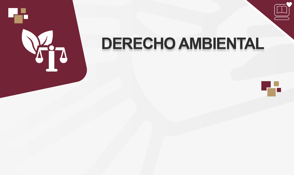 Derecho Ambiental IEDEP.LDE224375